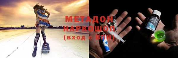 крисы Алзамай