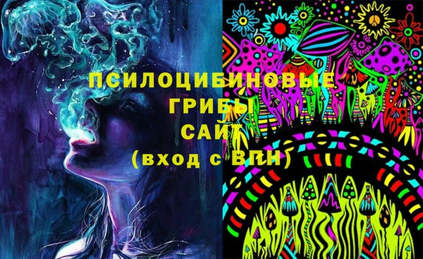 ПСИЛОЦИБИНОВЫЕ ГРИБЫ Алексин