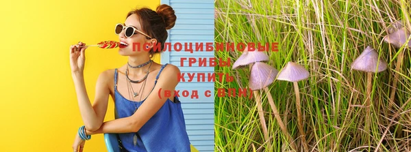 крисы Алзамай