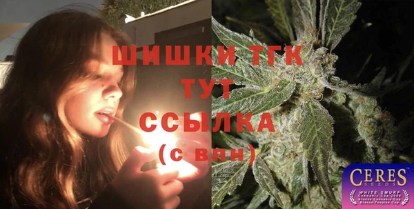 крисы Алзамай