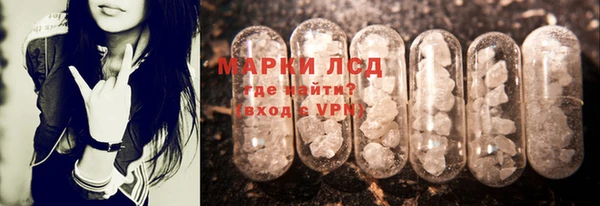 крисы Алзамай