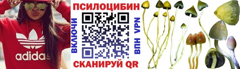 купить наркотики сайты  Ардон  Псилоцибиновые грибы мухоморы 